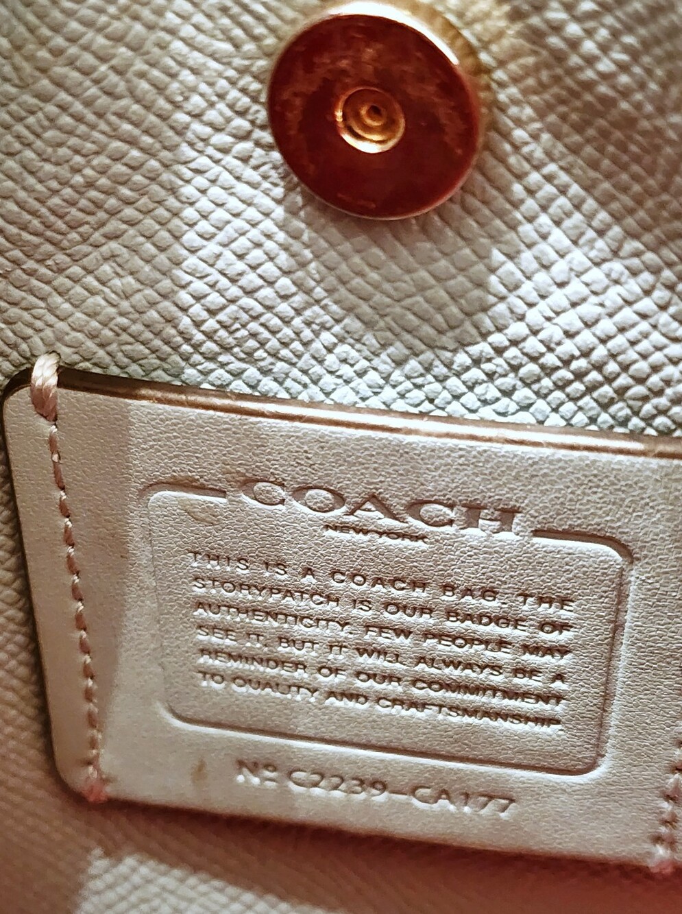 ❗️(THIS IS A PROJECT BAG)❗️ Coach Mollie Bucket Bag - Picture 11 of 16